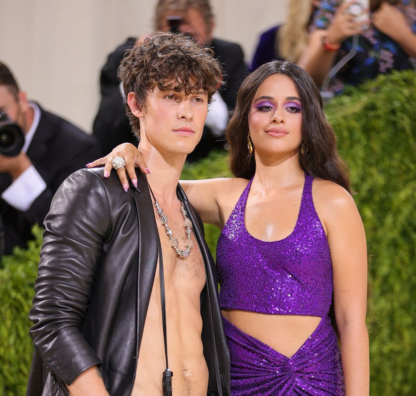 Fans think Shawn Mendes' new song "When You're Gone" is about his breakup with Camila Cabello.