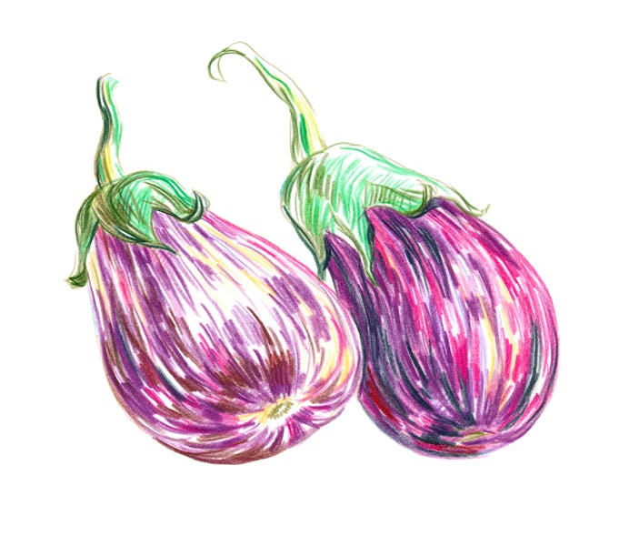 "Eggplants, Colored Pencils. Drawing by Romantsova Lizaveta (aromanta). Moscow August 20, 2009."
