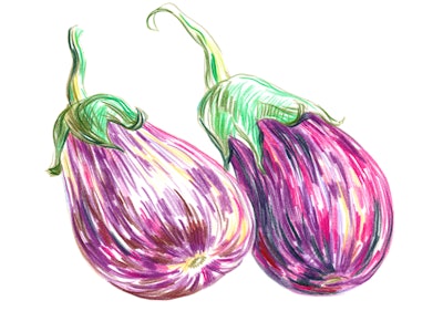 "Eggplants, Colored Pencils. Drawing by Romantsova Lizaveta (aromanta). Moscow August 20, 2009."