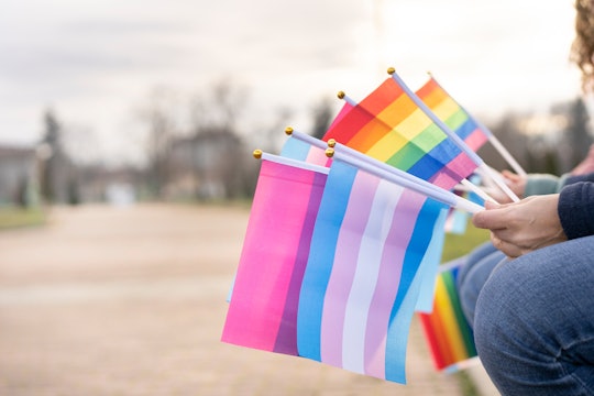 Flags for LBGTQi rights hold by different people