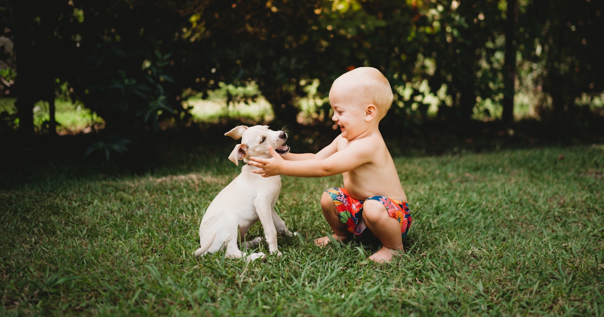 Baby-Proof Dog Bowls & Pet Feeding Habits To Keep Baby Safe