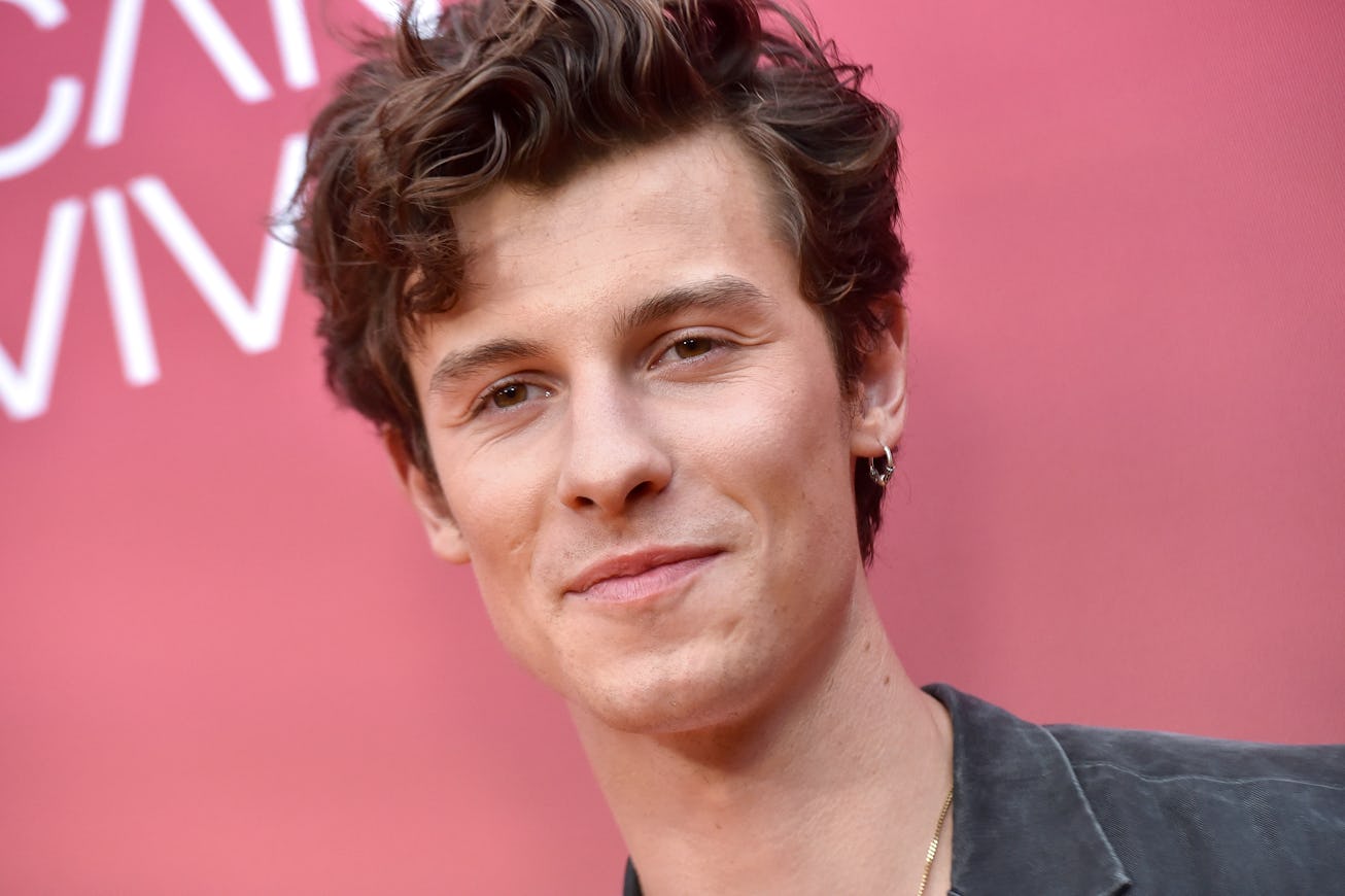 LOS ANGELES, CALIFORNIA - OCTOBER 23: Shawn Mendes attends the 8th Annual "We Can Survive" Concert h...