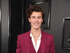 Shawn Mendes addressed Florida's "Don't Say Gay" bill on his social media accounts and called for ac...
