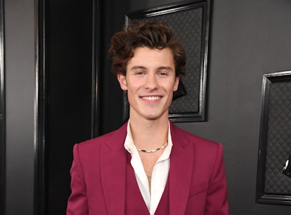 Shawn Mendes addressed Florida's "Don't Say Gay" bill on his social media accounts and called for ac...