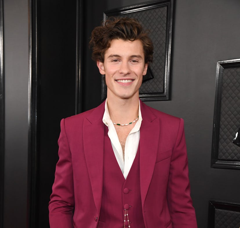 Shawn Mendes addressed Florida's "Don't Say Gay" bill on his social media accounts and called for ac...