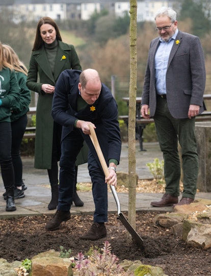 Prince William plants a tree.