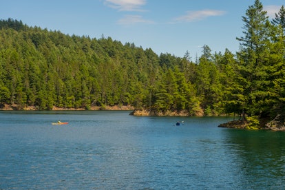 People kayaking on Orcas Island in the San Juan Islands in Washington State