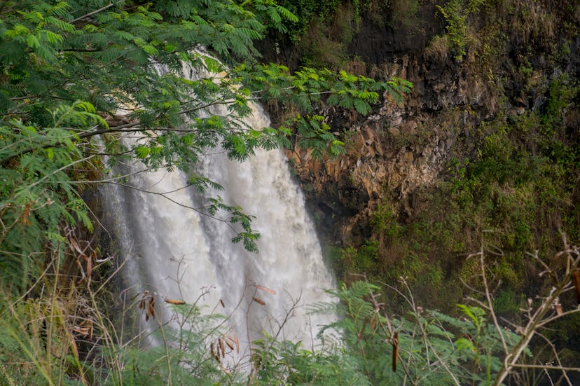 View of Waimea Falls in Kauai, Hawaii