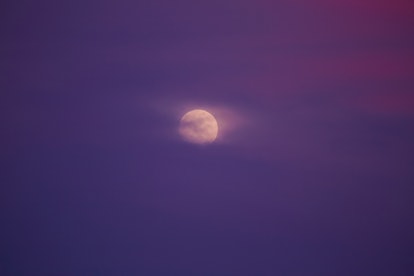 The 2022 full pink moon on April 16, which isn't actually pink.