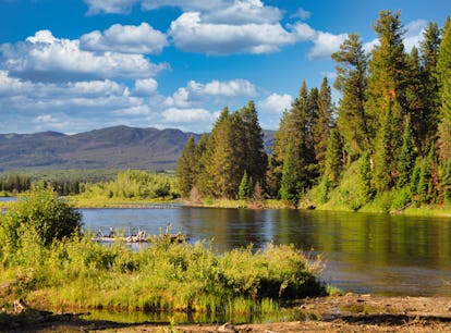 Enter Lenny & Larry’s National Park trip 2022 sweepstakes just by voting for a cookie.