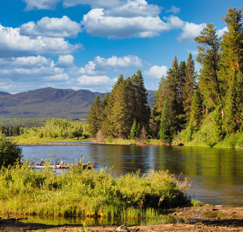 Enter Lenny & Larry’s National Park trip 2022 sweepstakes just by voting for a cookie.