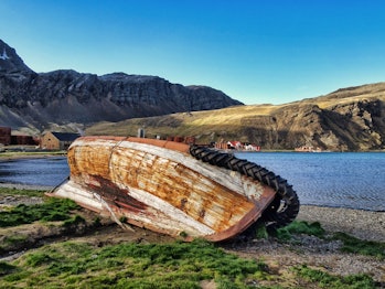 Grytviken was once an active whaling station from about 1903 to the 1960s. When whaling was restrict...
