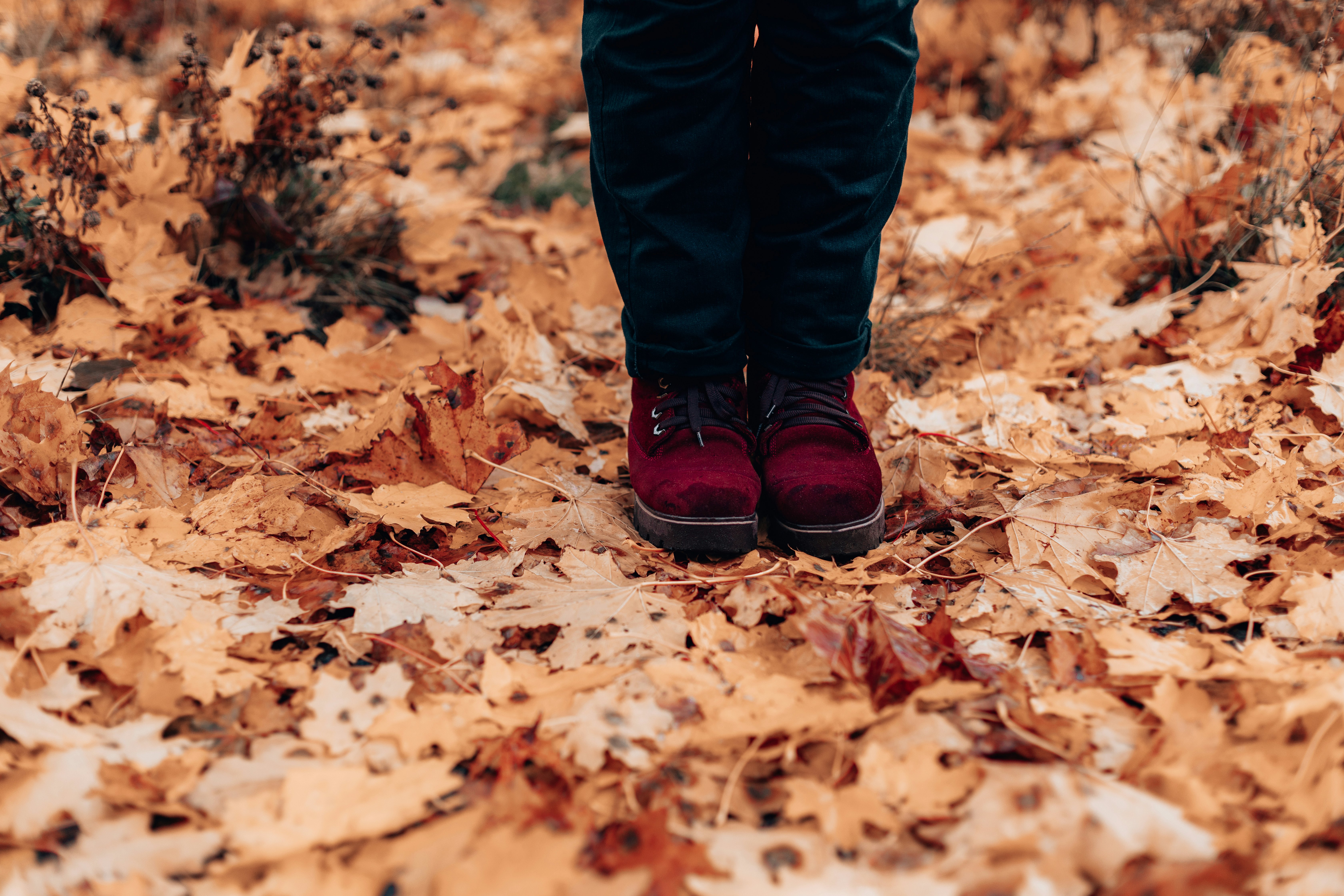 Winter boots clearance for bunions