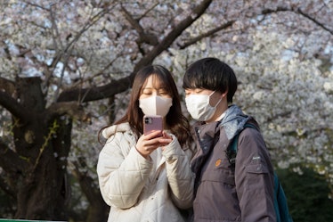 TOKYO, JAPAN - 2022/04/02: A couple seen taking photos with the cherry blossom (sakura) in Yoyogi Pa...