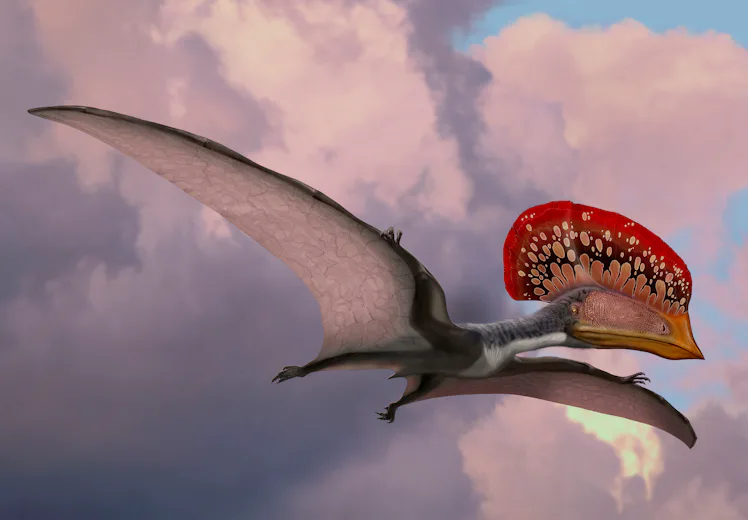 This Ancient Creature Developed Feathers Long Before The Dinosaurs this-ancient-creature-developed-feathers-long-before-the-dinosaurs