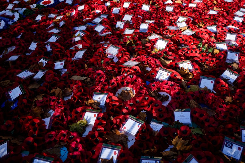Wreaths of poppies, placed on Remembrance Sunday, are pictured bathed in sunlight at the Cenotaph
