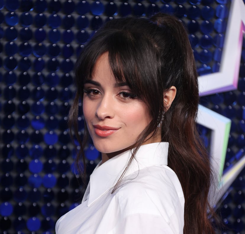 Camila Cabello said she auditioned for 'The X Factor' because of her crush on Harry Styles.