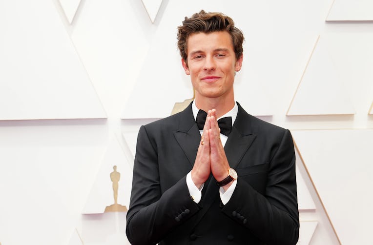 HOLLYWOOD, CALIFORNIA - MARCH 27: Shawn Mendes attends the 94th Annual Academy Awards at Hollywood a...