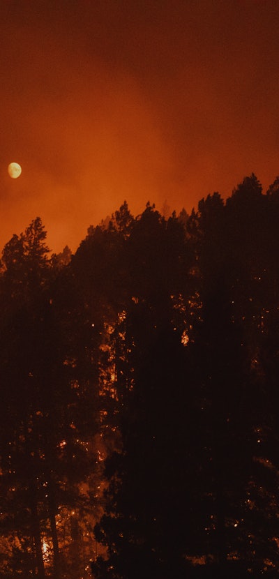 Burning trees from wildfires and smoke cover the landscape California. Photographer: Go Nakamura/Blo...