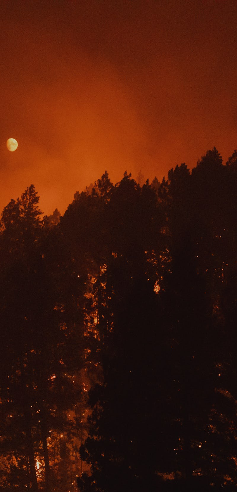 Burning trees from wildfires and smoke cover the landscape California. Photographer: Go Nakamura/Blo...