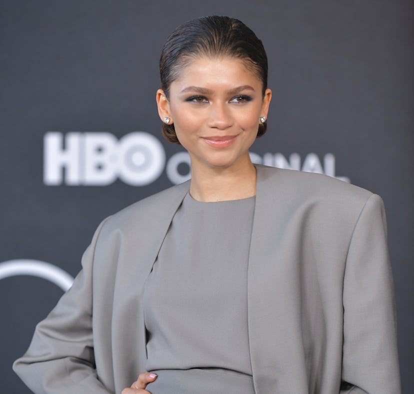 Zendaya said she won't be attending the 2022 Met Gala.