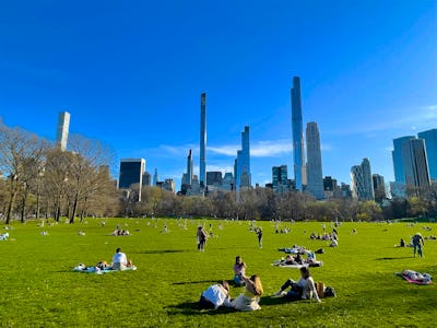 People relaxing on the Sheep Meadow in springtime, below office and residential towers of Midtown Ma...