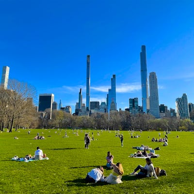 People relaxing on the Sheep Meadow in springtime, below office and residential towers of Midtown Ma...