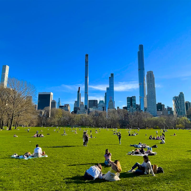 People relaxing on the Sheep Meadow in springtime, below office and residential towers of Midtown Ma...