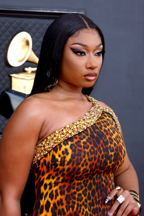 Tory Lanez allegedly shot Megan Thee Stallion after a "normal" disagreement between friends, the "Sa...