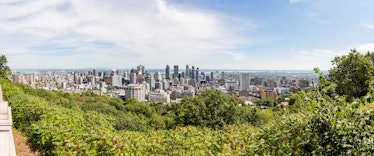 Mount Royal in Montreal was designed by Olmsted. Today, it is a green haven for the city.