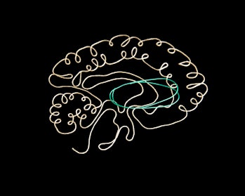 Human brain drawn with string, highlighting the cortico-basal ganglia-thalamo-cortical (CBGTC) loop.