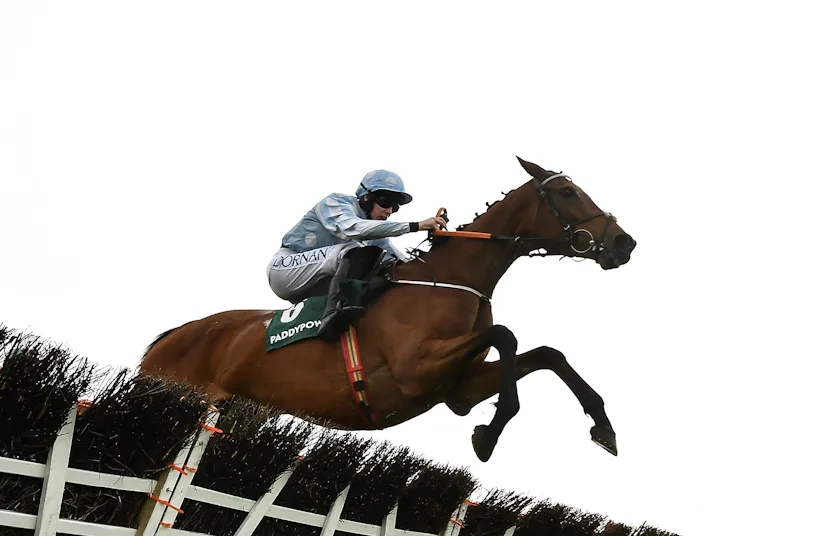 Kildare , Ireland - 29 April 2022; Honeysuckle, with Rachael Blackmore up, jumps the last on their w...