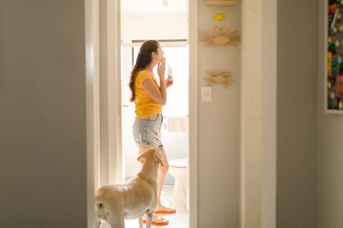 Pet owner and her dogs on affection