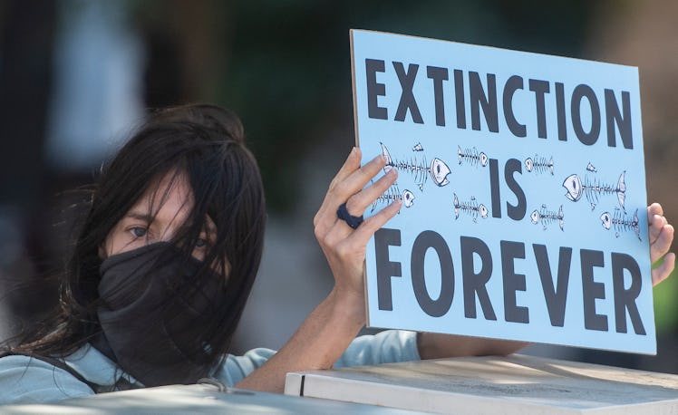 CAPE TOWN, SOUTH AFRICA - MARCH 25: Protesters during the Global Climate Strike outside Parliament o...