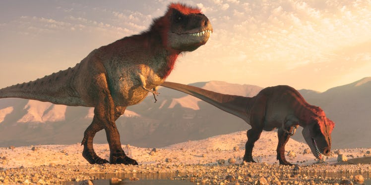Artwork of a pair of tyrannosauruses, male (left) and female. Tyrannosaurus rex was an apex predator...