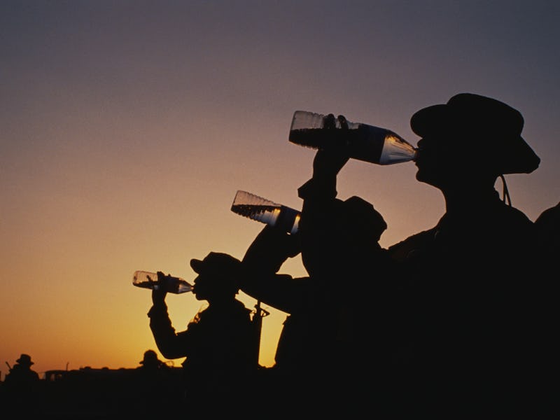 People's shadows during a sunset, drinking water