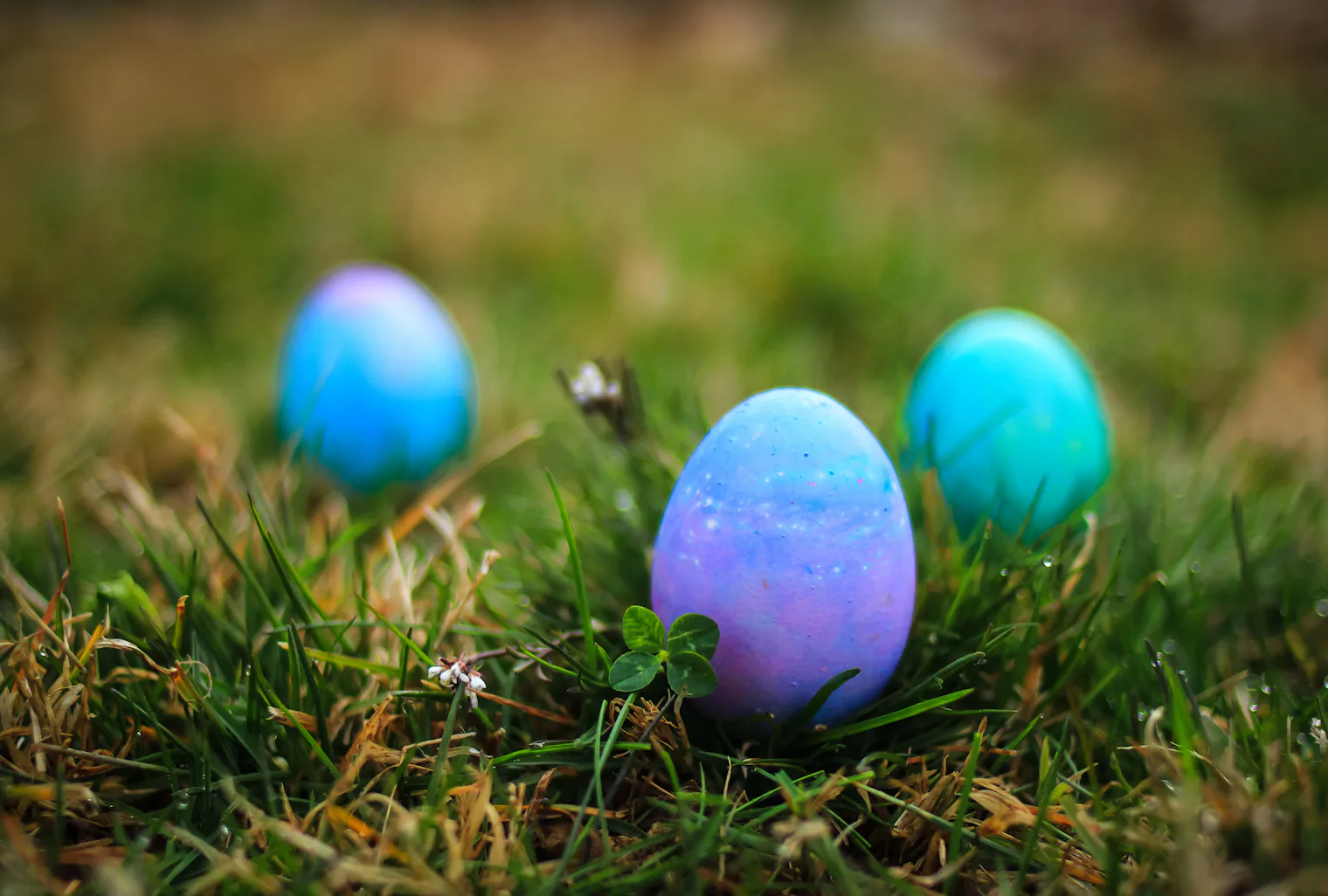 Why Do We Have Easter Egg Hunts The Tradition Is Centuries Old Why do we have easter egg hunts the tradition is centuries old