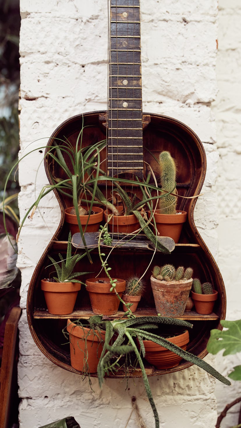 Various green plants in ceramic flowerpots placed on wooden shelf in shape of guitar in room