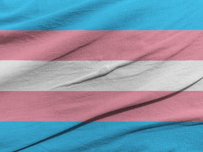 Flag of the Transgender Pride and Social Movement