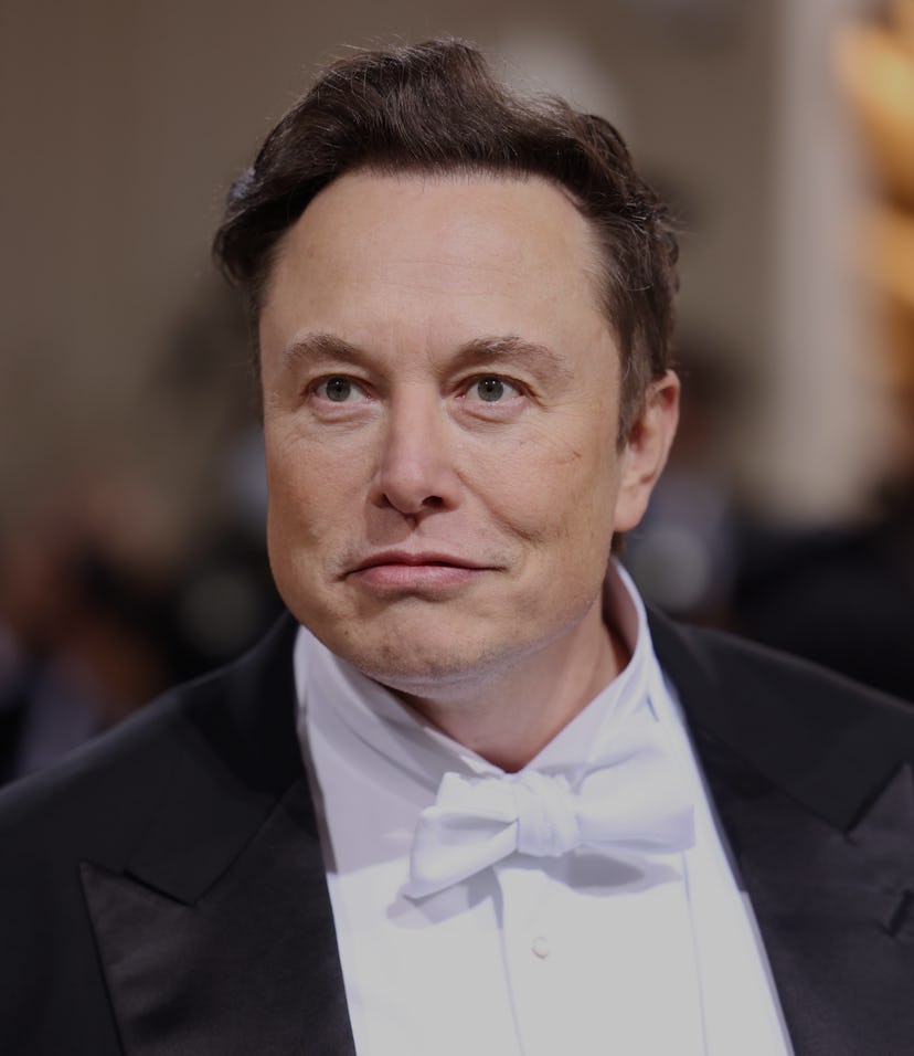 NEW YORK, NEW YORK - MAY 02: Elon Musk attends The 2022 Met Gala Celebrating "In America: An Antholo...