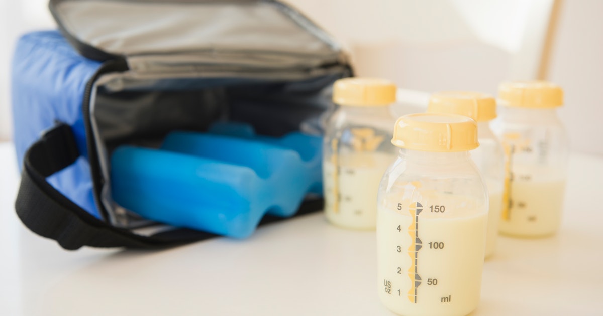 Best Breastmilk Cooler Bag of 2021: Top Reviews and Comparisons - A  Reluctant Mom