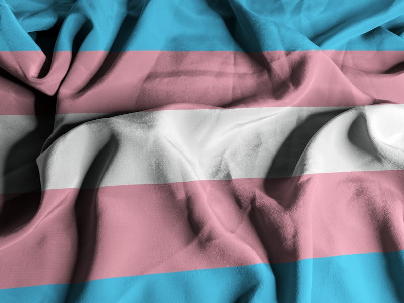 Flag of the Transgender Pride and Social Movement
