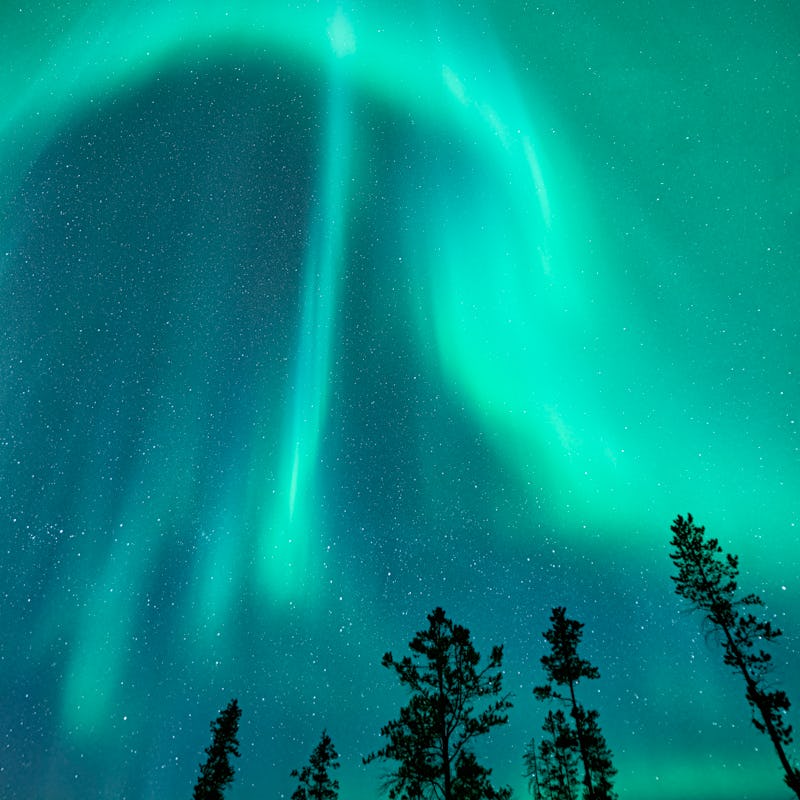 Aurora as seen from about 30 minutes south of Whitehorse in the Yukon