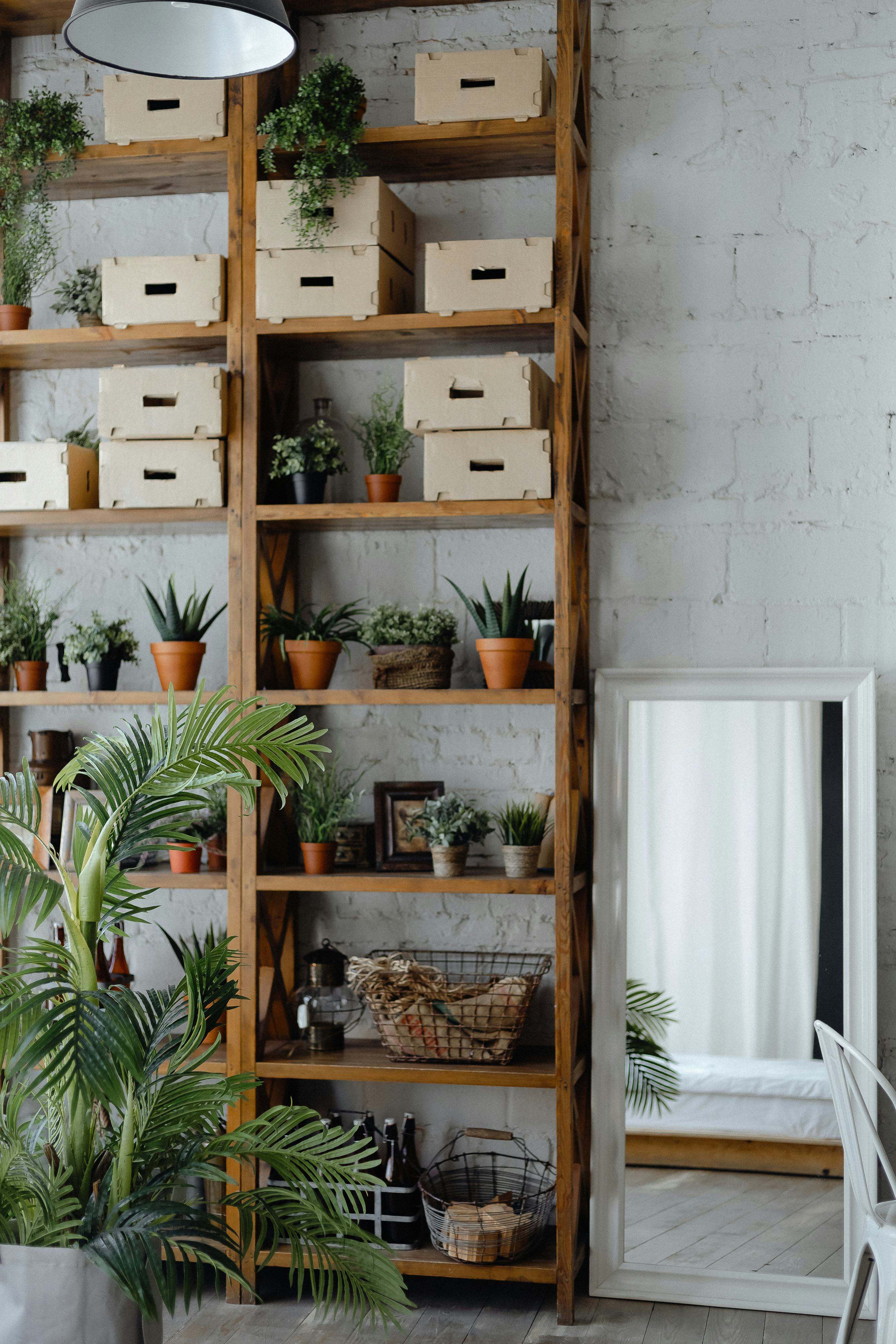 Here are the 7 best shelf options to display your favorite trinkets
