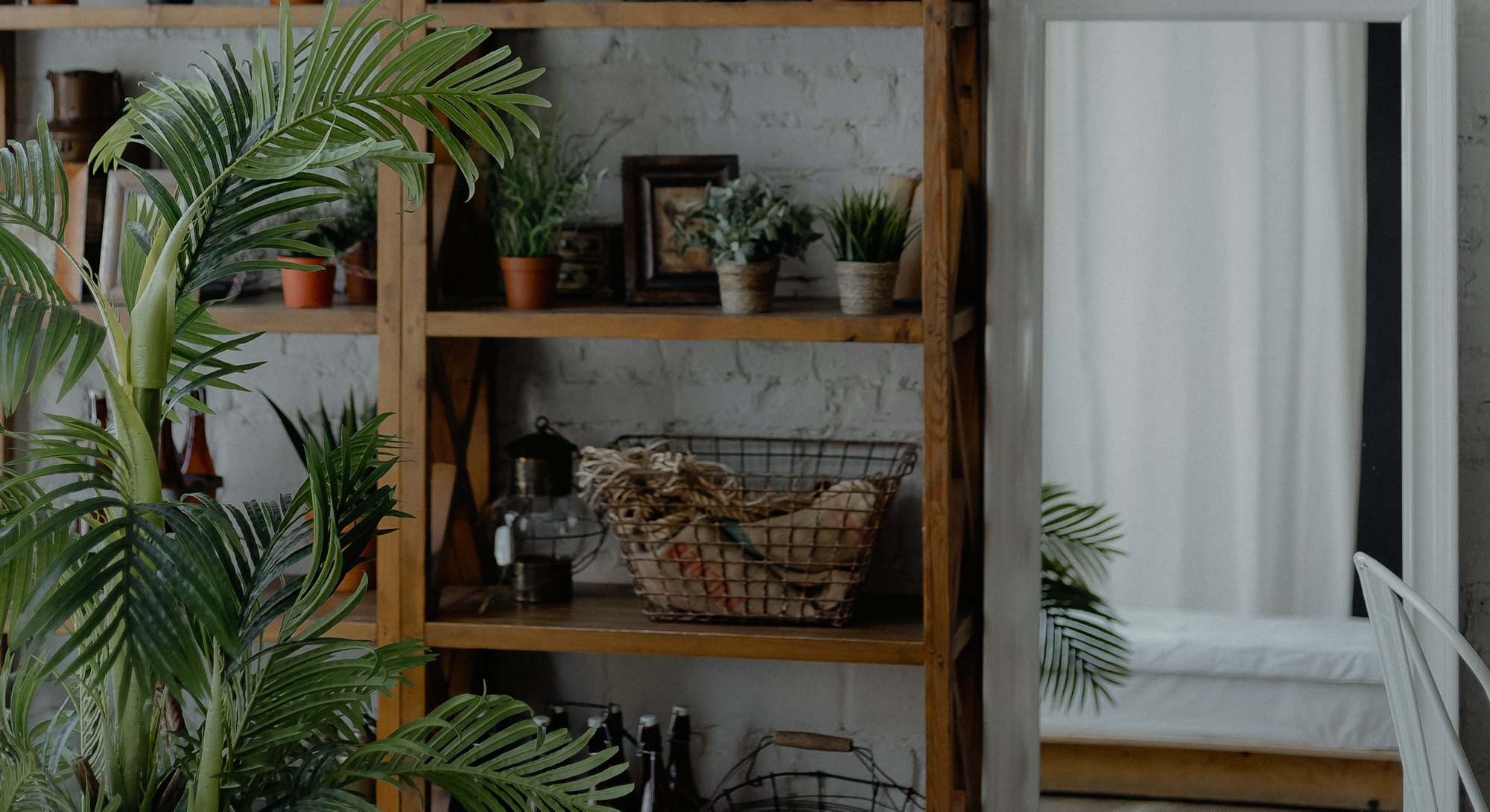 Plants in a pot,  frames, bottles on the shelf, mirror in the bedroom