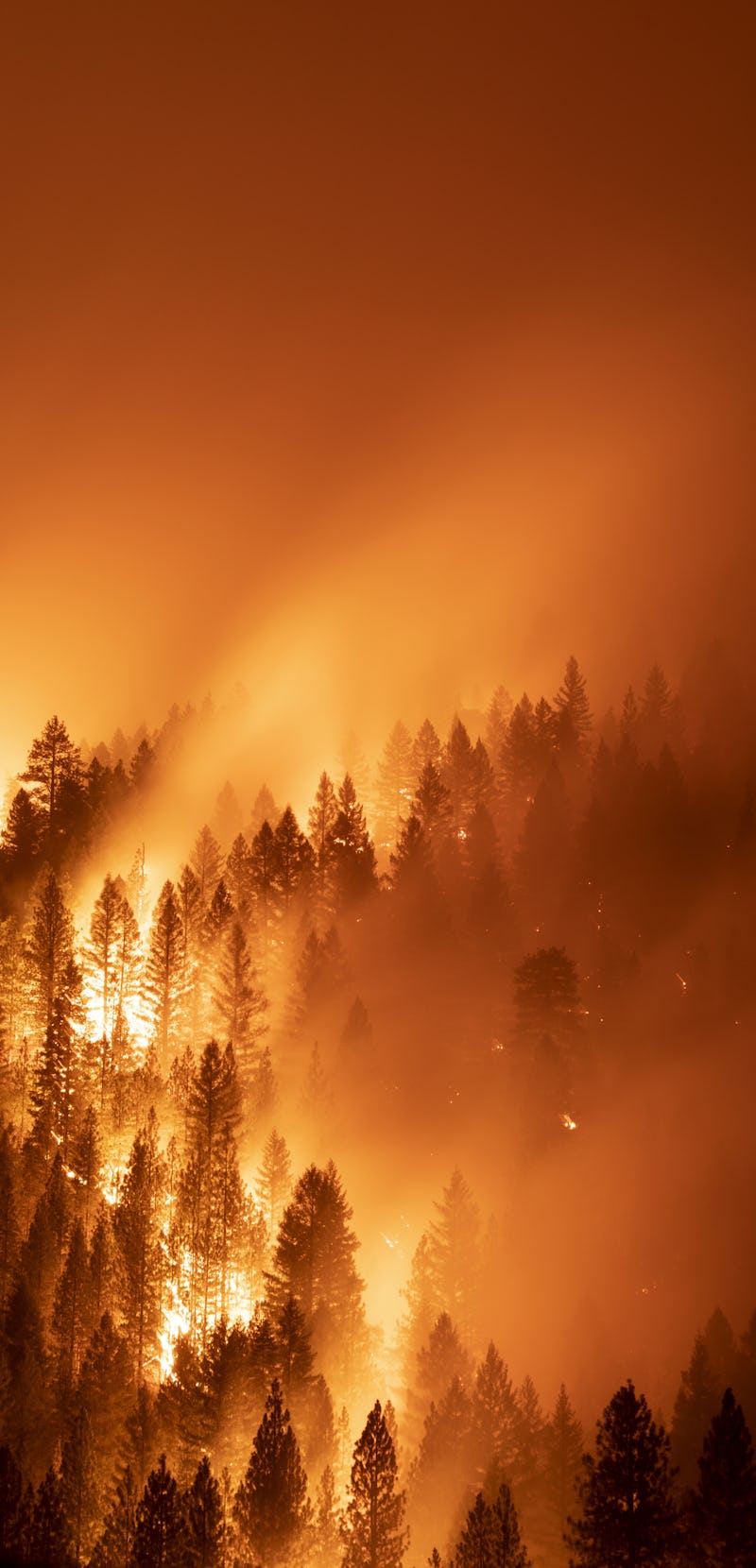 Burning trees from wildfires cover the landscape in California, U.S. Photographer: Eric Thayer/Bloom...
