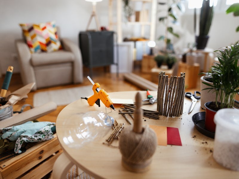 Empty room with houseplants and botany tools