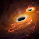 Illustration of two black holes orbiting each other in a combined accretion disc. Eventually the bla...