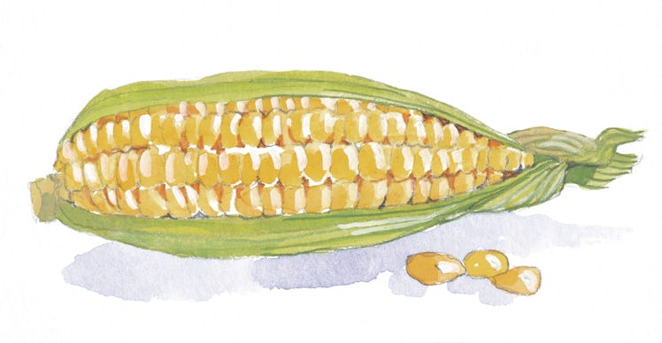 painting of corn