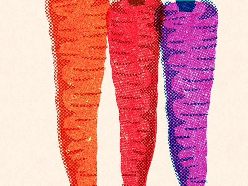 Three Carrots